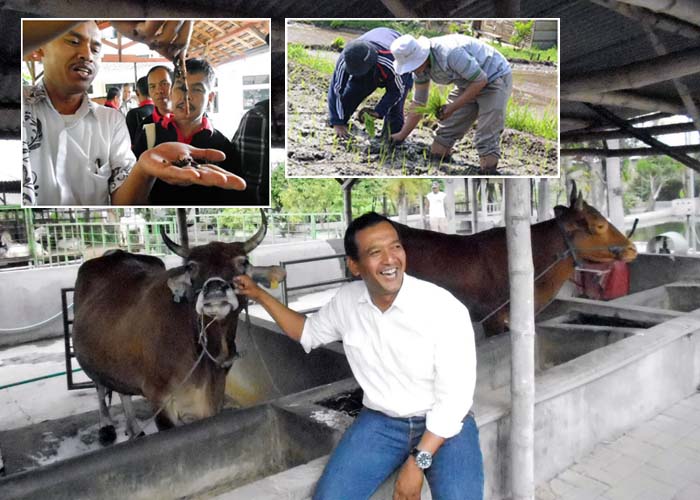 P4S Sedulur Tani Jombang, Sentra Pengembangan SDM Pertanian Jatim